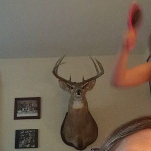 Meet your Posher, Toni